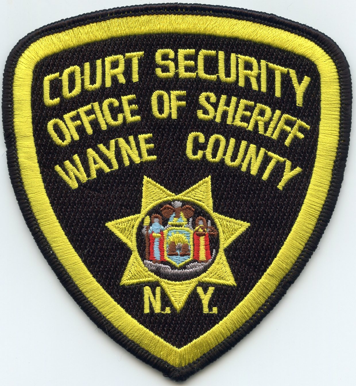 Wayne County New York Sheriff Court Security - Atlanta Pig